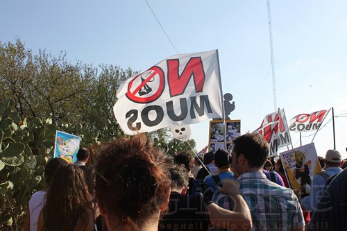 Manifestazione Nazionale No MOUS Niscemi 06 Ottobre 2012 (37) (Copia)
