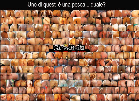 GIF - 201.4 Kb