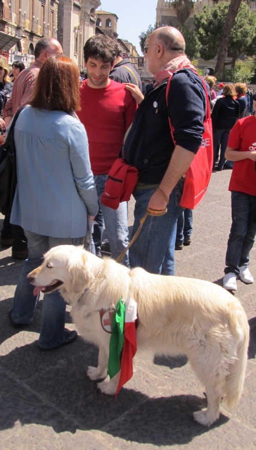 20120425_ 118
