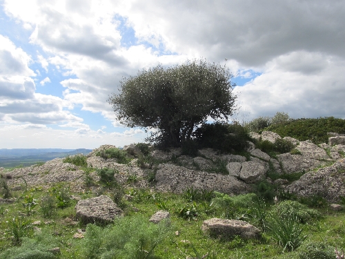 20140223_monteturcisi_ 026