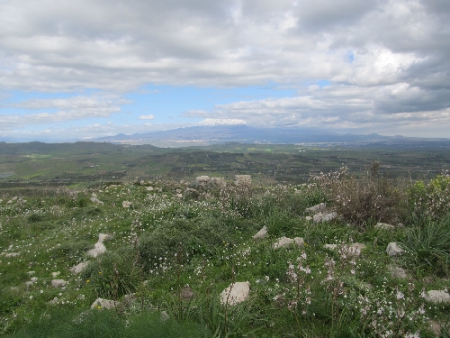 20140223_monteturcisi_ 051