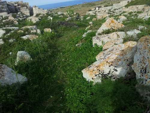 20140329_161001