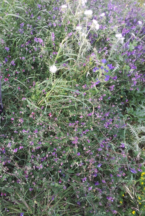 20140329_164658