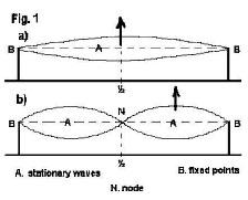 Fig.1.