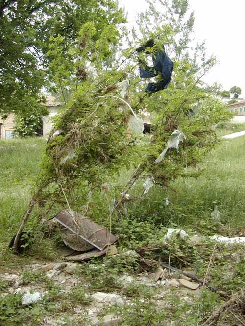 Effetti della piena delle discariche