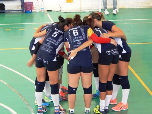 Le squadra 