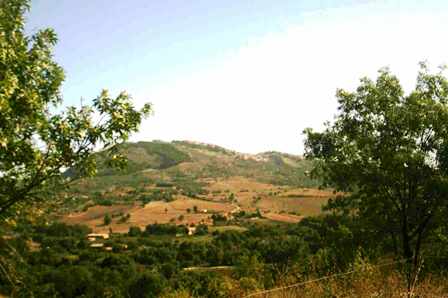 Panorama