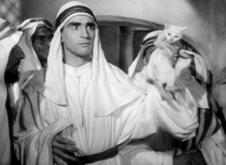 Quel Fantasma di mio Marito