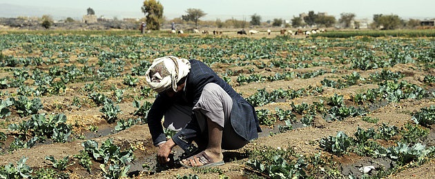 Giornata Mondiale Alimentazione
