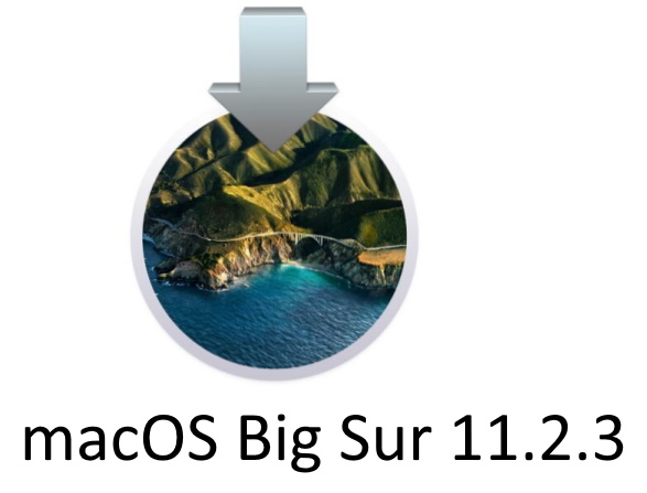 JPEG - 48.5 Kb