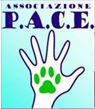 pace