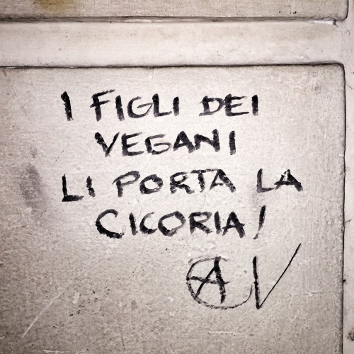 tumblr_nv5jkcRsqt1r8qln2o1_500