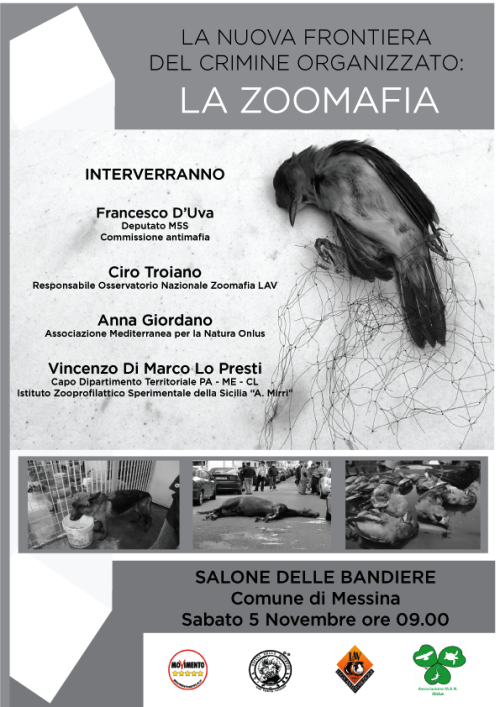 LocandinaA4zoomafia